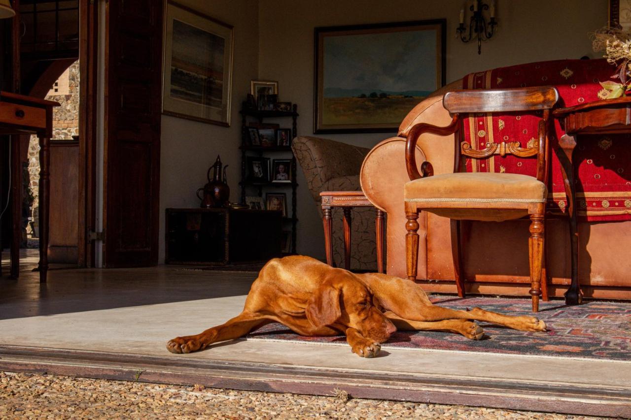 مبيت وإفطار ستيلينبوش Casa Mori House المظهر الخارجي الصورة